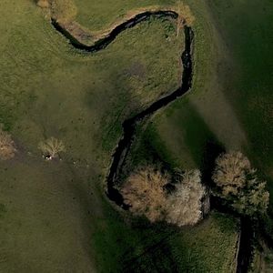 Photo La Vérité du sol