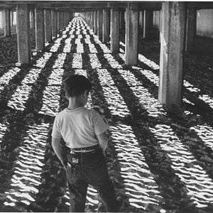 Photo Le Petit fugitif