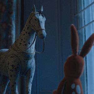 Photo Le Lapin de velours