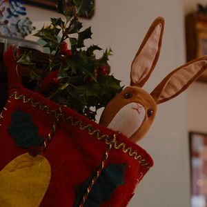 Photo Le Lapin de velours