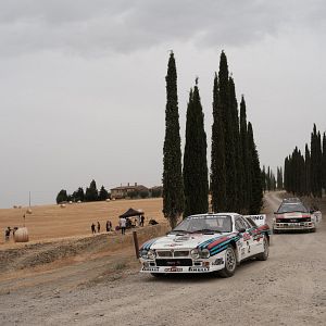 Photo Race for Glory: Audi vs Lancia