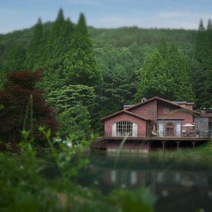 Photo Les Silences de la forêt