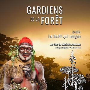 Photo Gabon, la forêt qui soigne