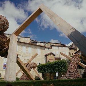 Photo In Situ