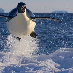 Photo Earthsounds : les sons de la Terre