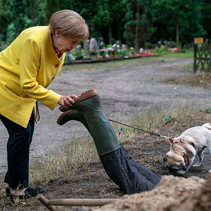 Photo Miss Merkel – Ein Uckermark-Krimi: Mord auf dem Friedhof