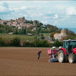 Photo La Théorie du Boxeur