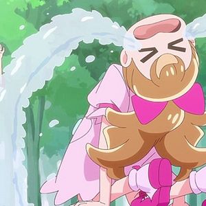 Photo Wonderful Precure!