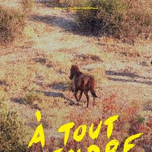 Photo À tout prendre, rien plutôt que moitié