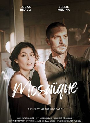 poster du film Bande-annonce Mosaïque