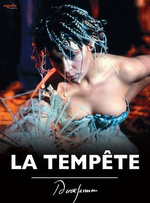 poster du film La Tempête