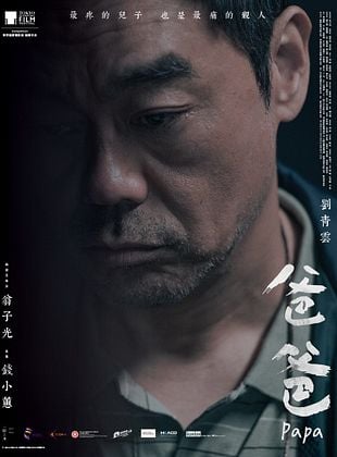 poster du film Papa