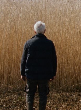 poster du film Bande-annonce Reedland
