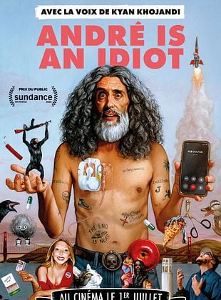 poster du film André est un idiot