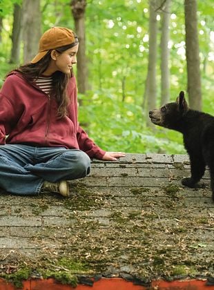 poster du film Melody pour un ours