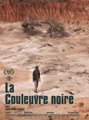 poster du film Bande-annonce La Couleuvre noire