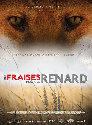 poster du film Des fraises pour le renard