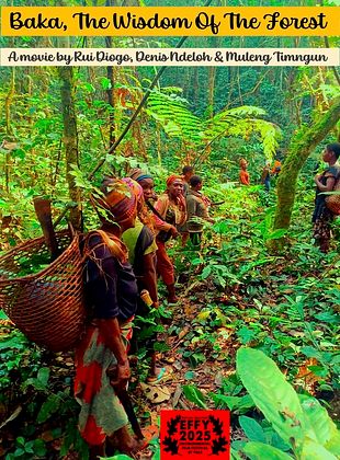 poster du film Baka - The wisdom of the forest