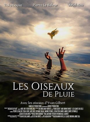 poster du film Bande-annonce Les Oiseaux de Pluie