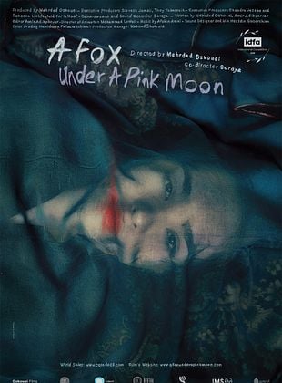 poster du film Un renard sous une lune rose