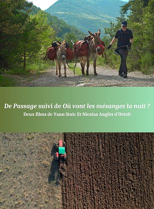 poster du film De Passage + Où vont les mésanges la nuit ?