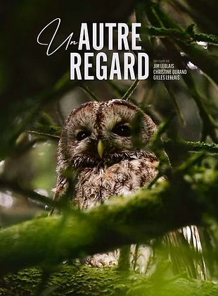 poster du film Bande-annonce Un autre regard