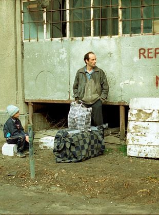 poster du film Courts métrages de Radu Jude