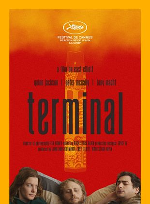 poster du film Terminal