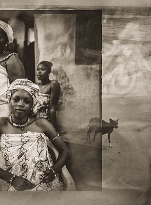 poster du film Le chien qui boit le thé