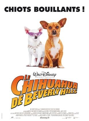 Bande-annonce Le Chihuahua de Beverly Hills
