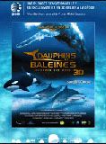 Bande-annonce Dauphins et baleines 3D, nomades des mers