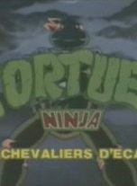 Tortues Ninja: Les chevaliers d'écaille