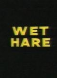 Wet Hare