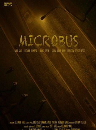 poster du film Microbús