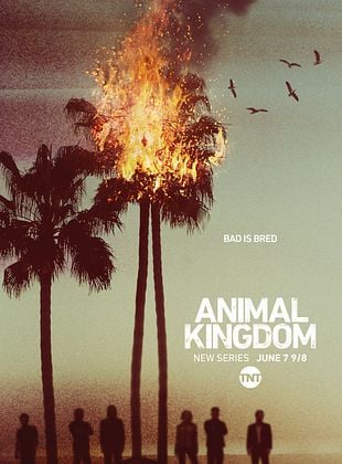 poster de la série Animal Kingdom