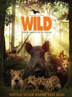 poster du film Wild