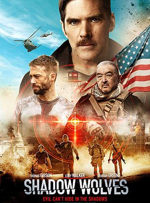poster du film  Shadow Wolves