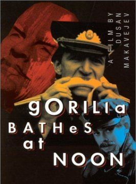 Gorilla Bathes At Noon