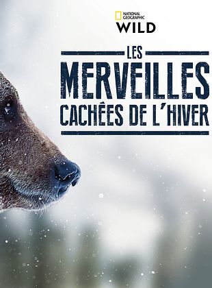poster de la série Les merveilles cachées de l’hiver