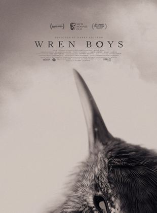 Wren Boys