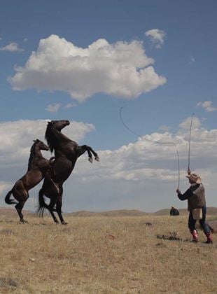 Les Cowboys, mes héros