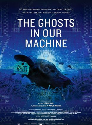 Bande-annonce The Ghosts in our Machine