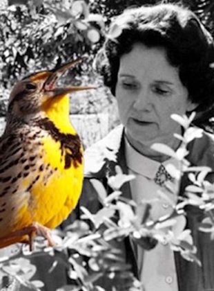 Rachel Carson, la mère de l'écologie