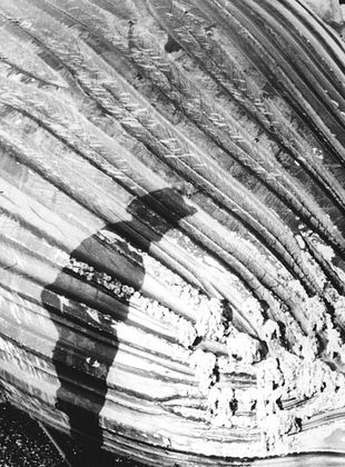 poster du film A Devil with Harpoon