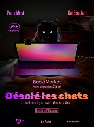 Désolé les chats.