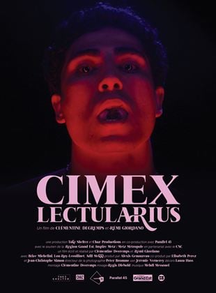 Cimex Lectularius
