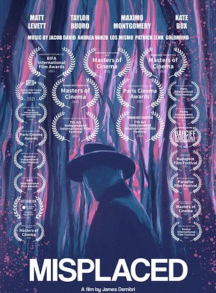poster du film Misplaced