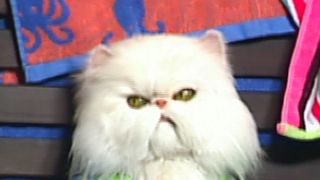 image de lundi 2 août 2010