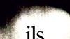 image de "Ils"