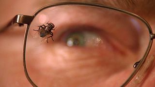 image de Les bestioles qui font basculer des personnages dans la folie